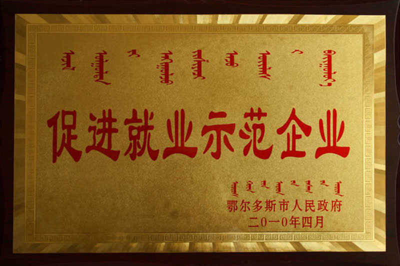 2010鄂市促進就業(yè)企業(yè)