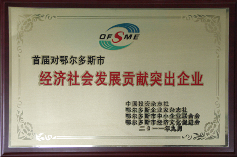 2011鄂市經(jīng)濟發(fā)展貢獻企業(yè)