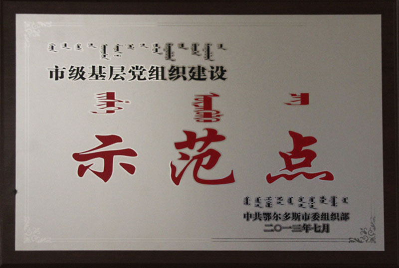 2013鄂市黨組織建設(shè)示范點